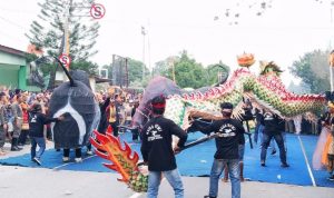 Heboh! Naga Bumi Muncul di Lampung Tengah